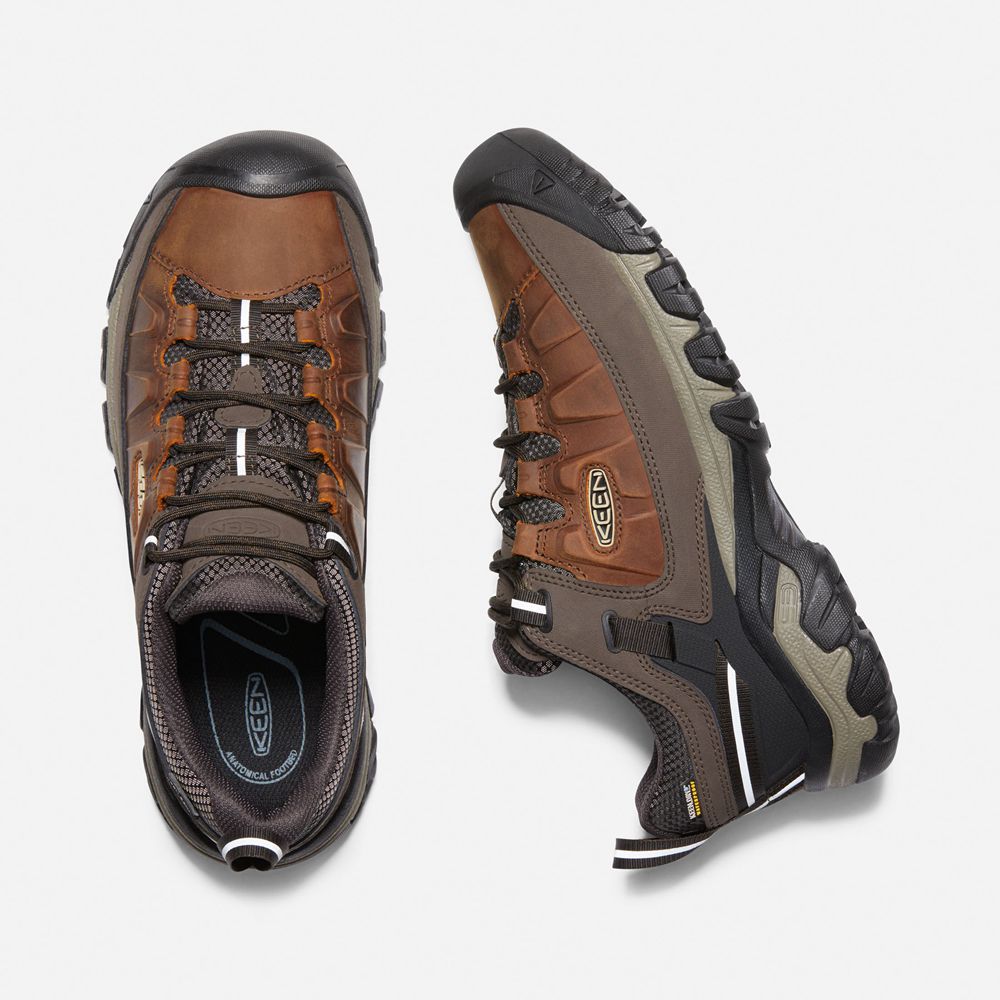 Keen Vandringsskor Herr Bruna - Targhee Iii Waterproof - 376924ICG